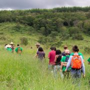Dia de Campo