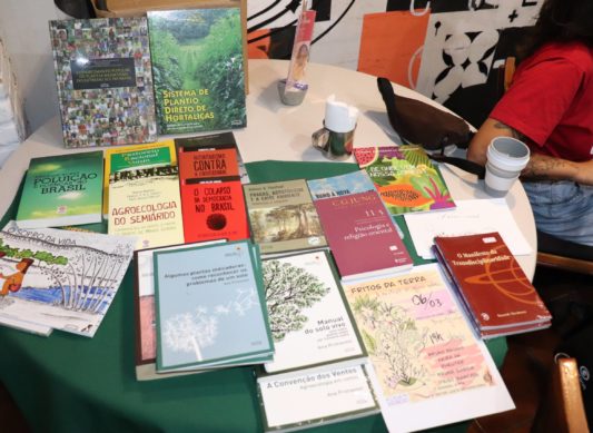 Grupo de Estudos Criança e Natureza