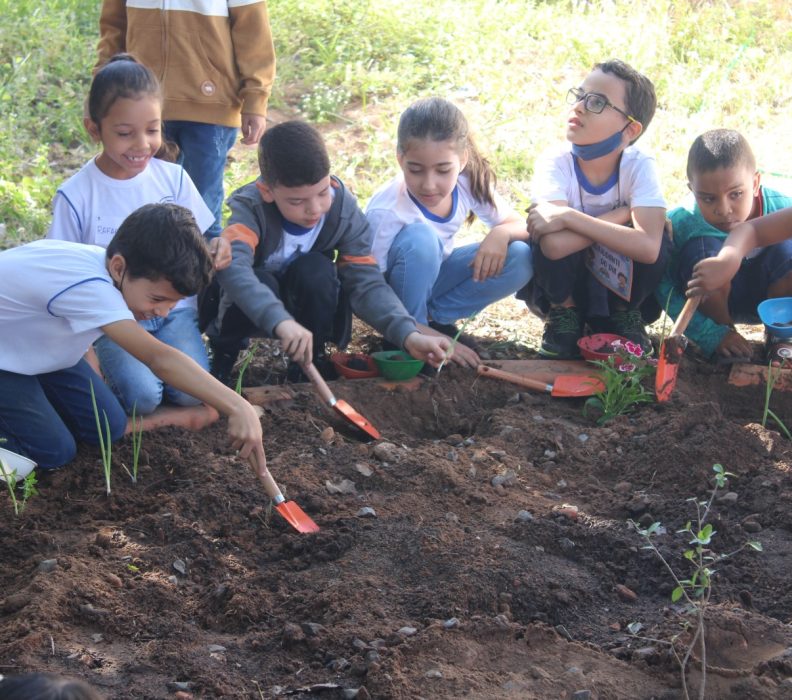 EcomAmor realiza Oficina Plantar